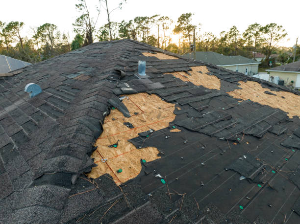 Professional Roofing Services in Croswell, MI